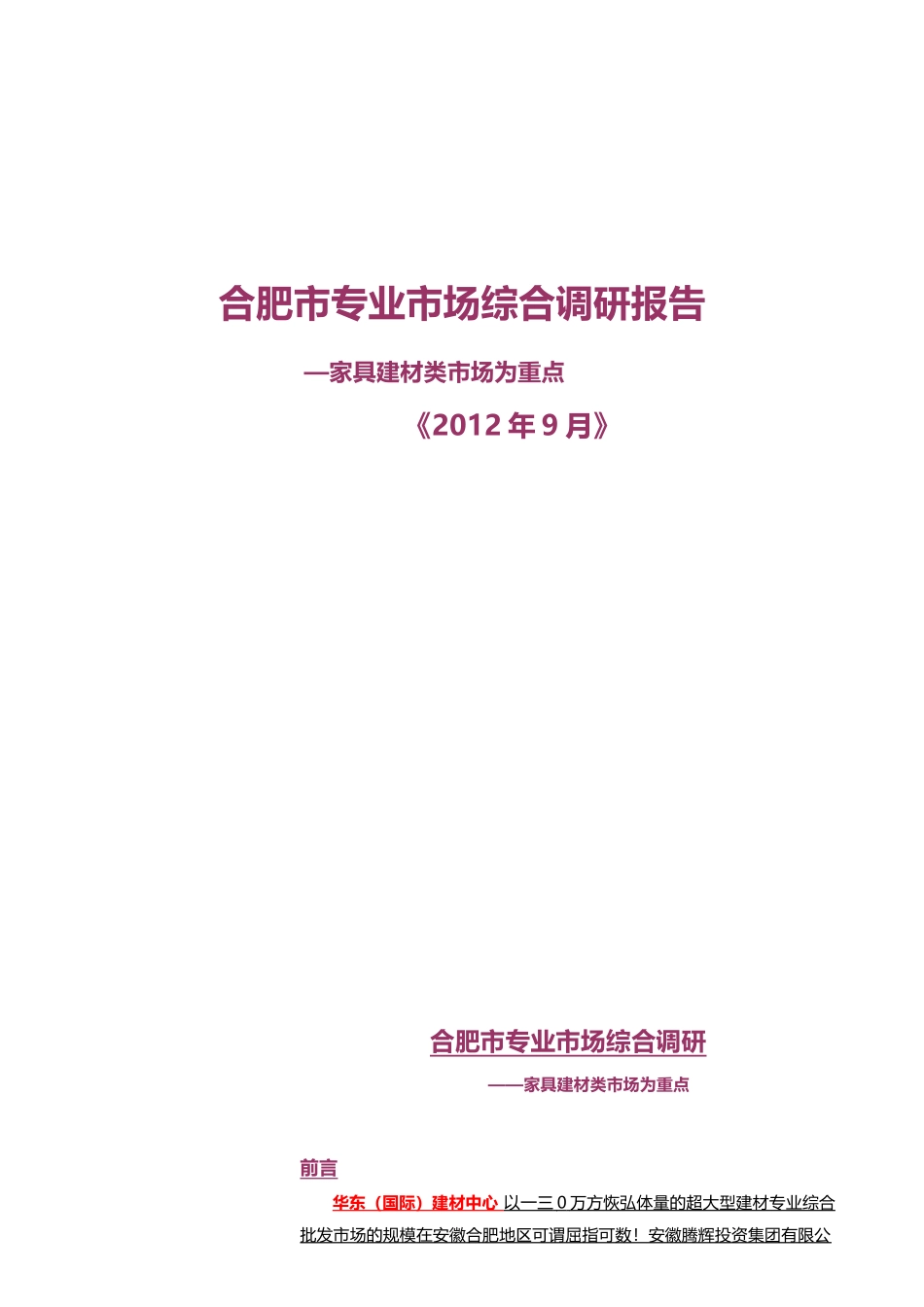 某家居建材类专业市场综合调研报告范本_第1页