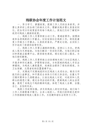 残联协会年度工作计划范文