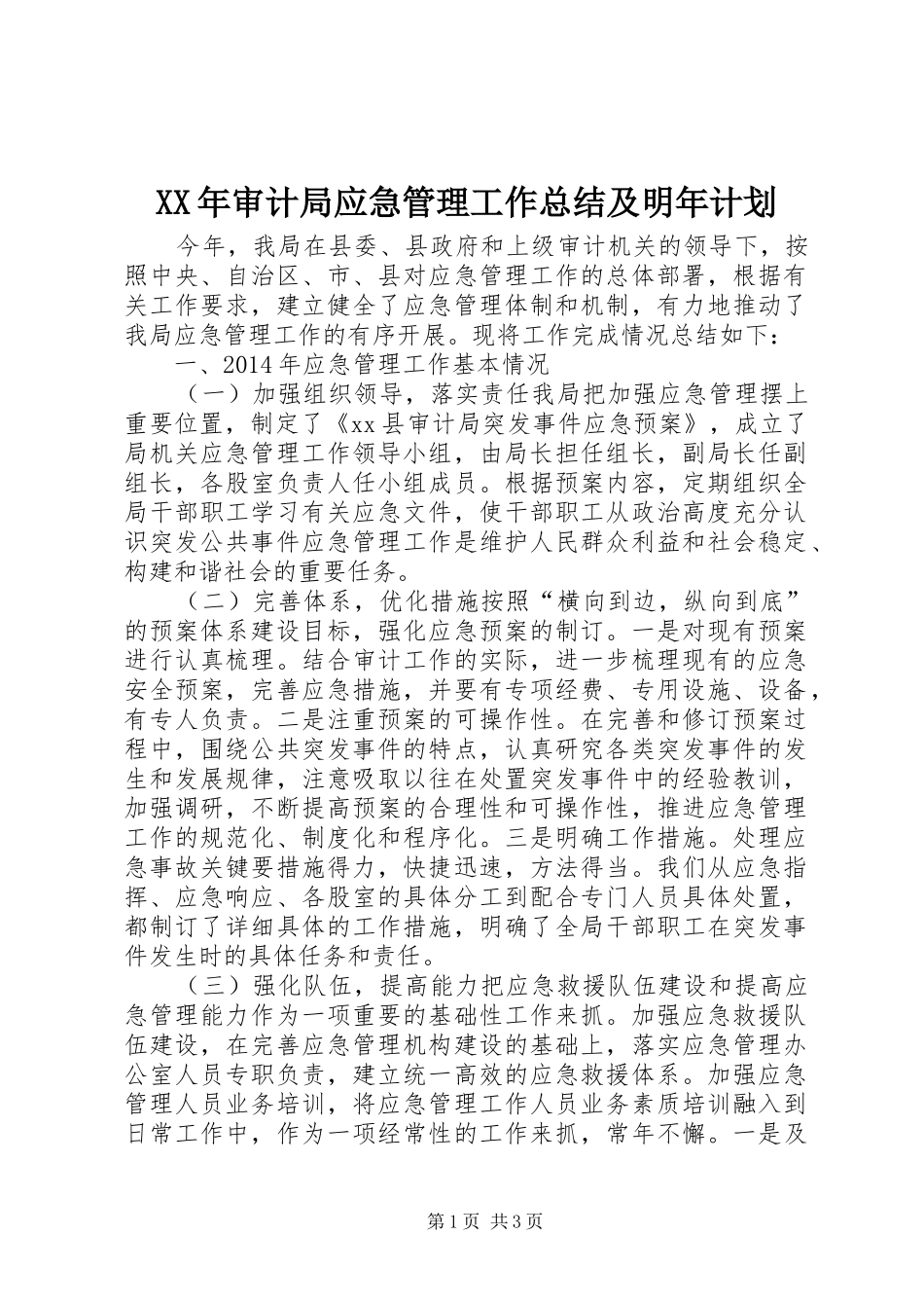 XX年审计局应急管理工作总结及明年计划_第1页