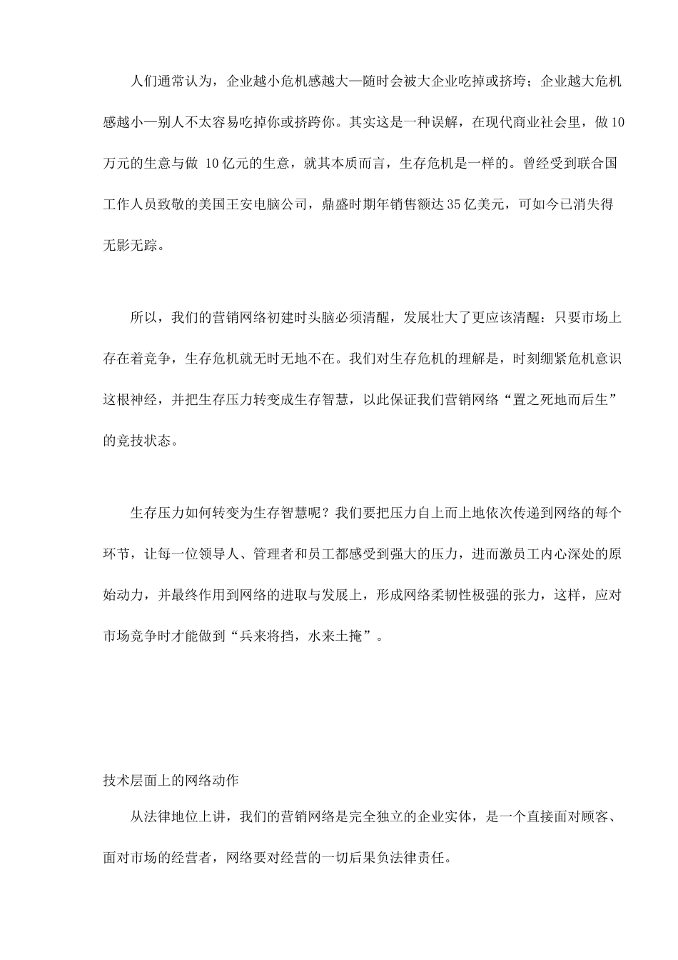 某电子集团网络营销战略构想研究_第3页