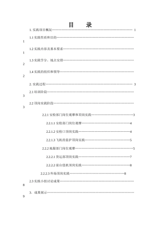 旅游系航空服务专业社会实践报告