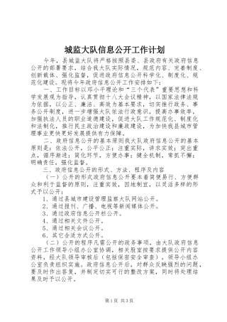 城监大队信息公开工作计划