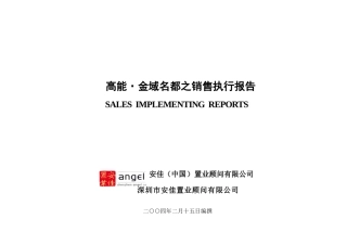 高能金域名都房地产项目销售执行报告55页