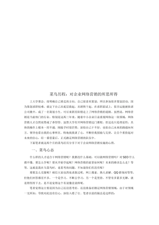 菜鸟历程：对企业网络营销的所思所得