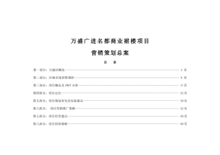 某商业裙楼项目营销策划总案