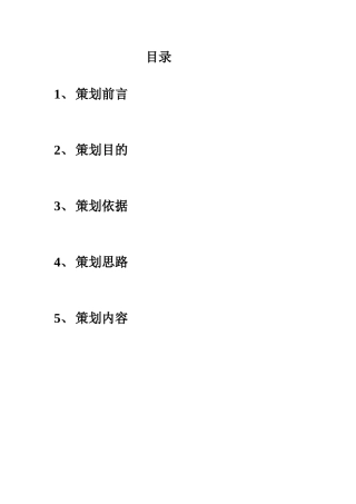 泊·天下营销策划报告