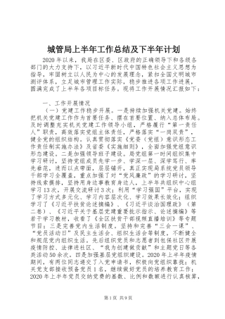 城管局上半年工作总结及下半年计划