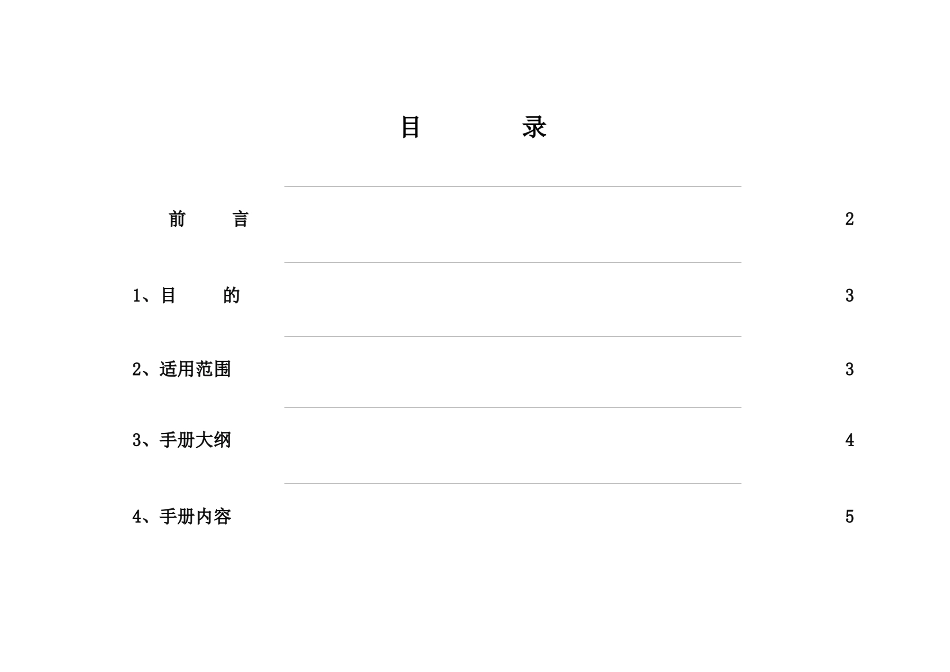 红色闪耀内衣专卖市场推广手册_第2页