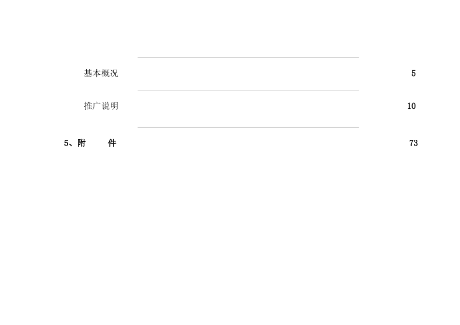 红色闪耀内衣专卖市场推广手册_第3页