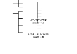 红色闪耀内衣专卖市场推广手册