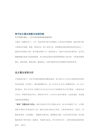 春节返乡置业洞察与促销攻略