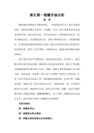 某商业城市场分析报告