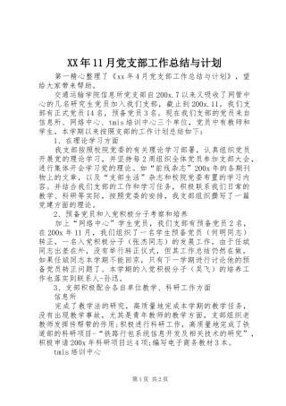 XX年11月党支部工作总结与计划