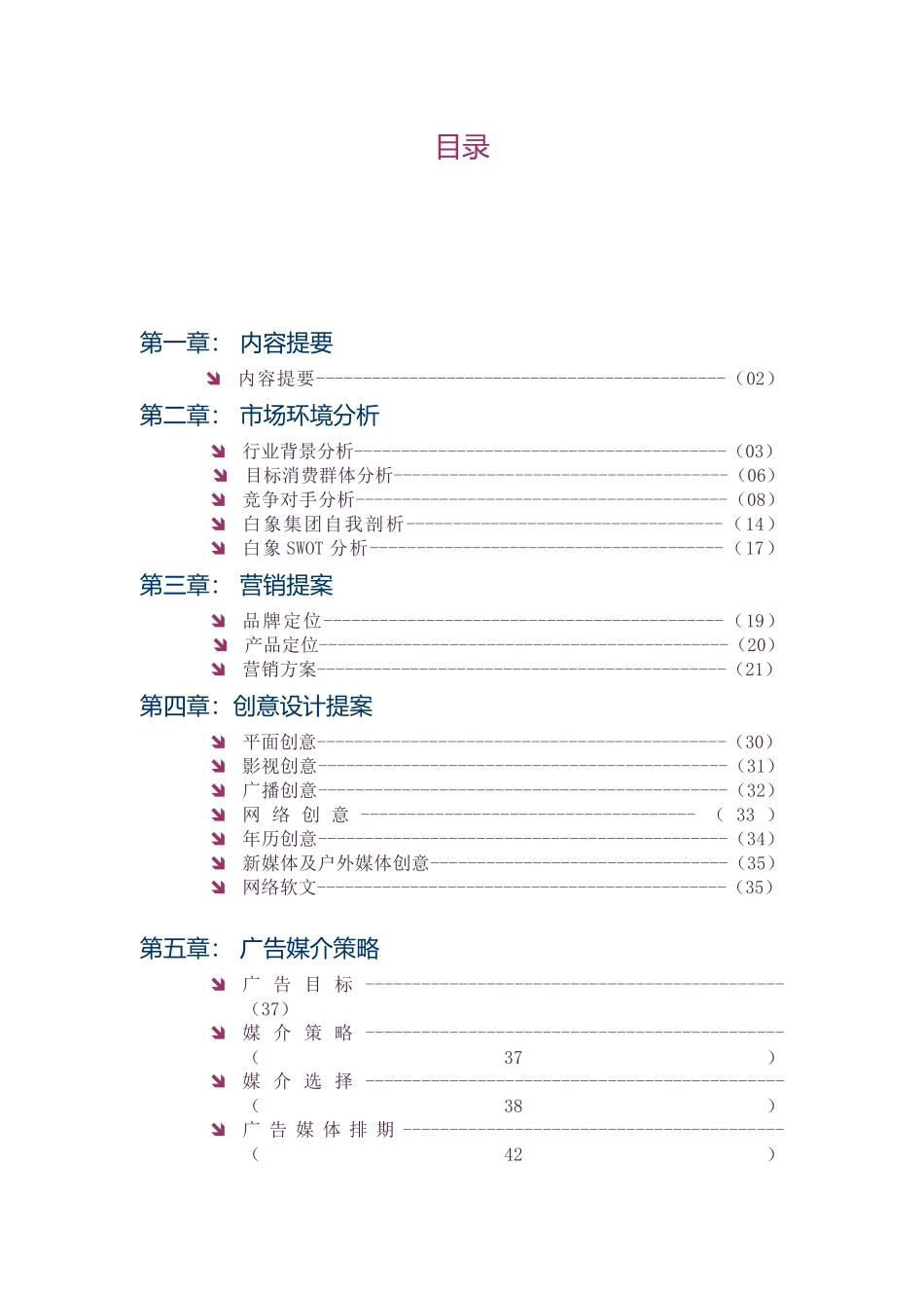 白象大骨面营销策划案_第1页