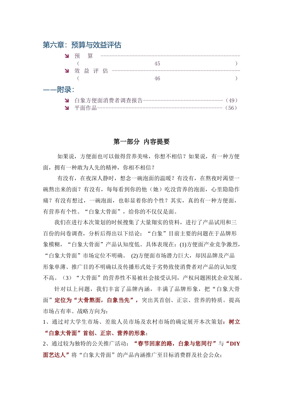 白象大骨面营销策划案_第2页