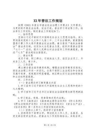 XX年普法工作规划