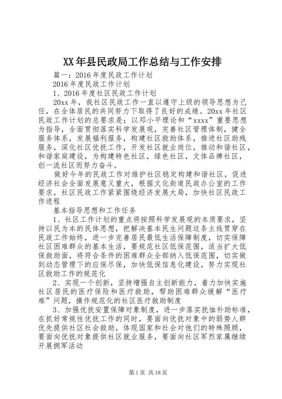 XX年县民政局工作总结与工作安排_第1页