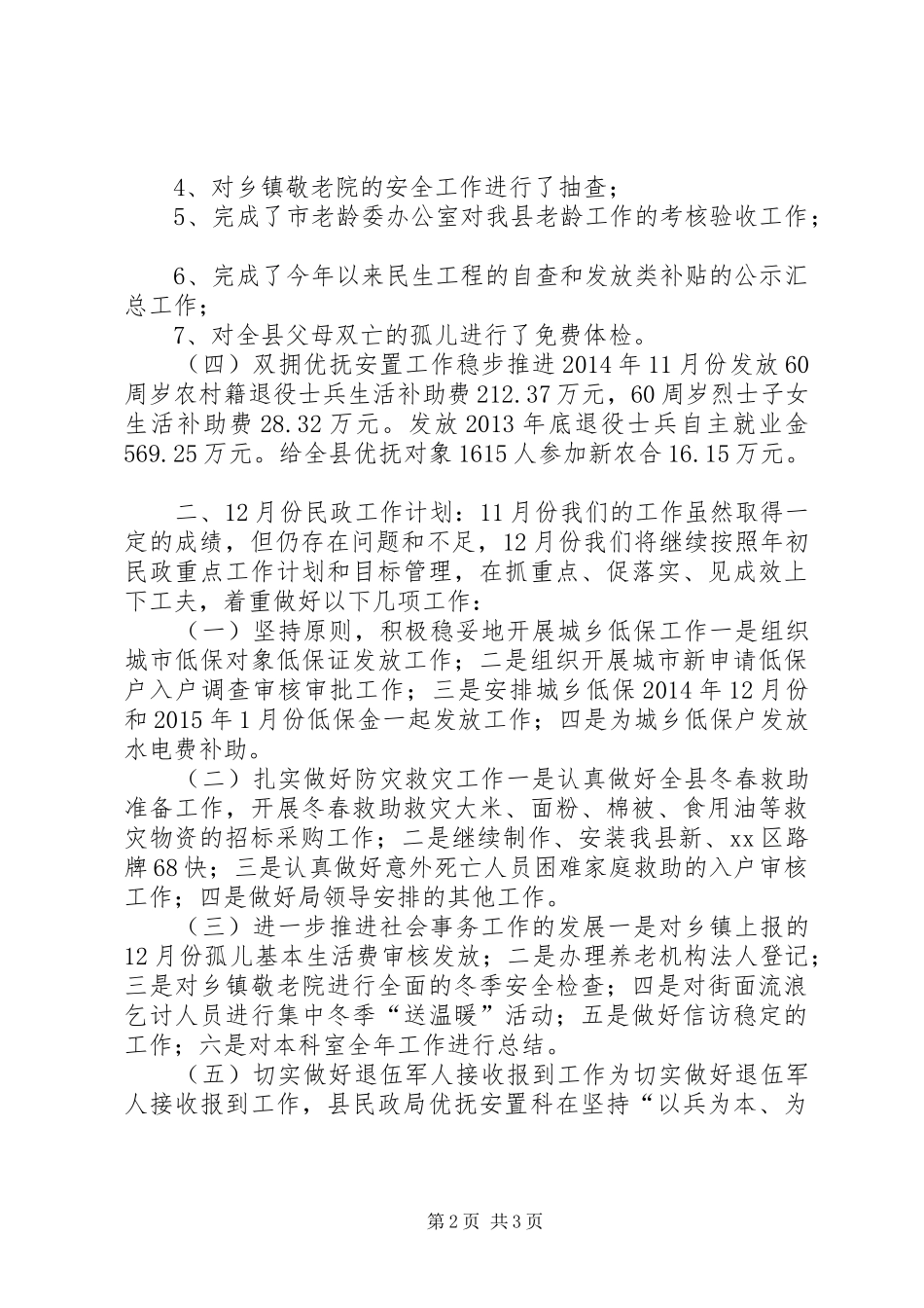 XX年11月民政局工作总结和工作计划_第2页