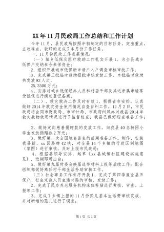 XX年11月民政局工作总结和工作计划