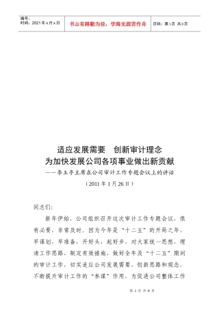 公司审计工作专题会议