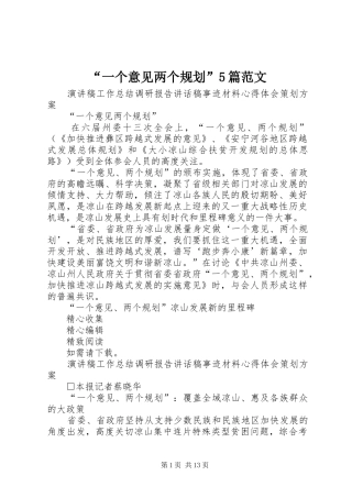 “一个意见两个规划”5篇范文