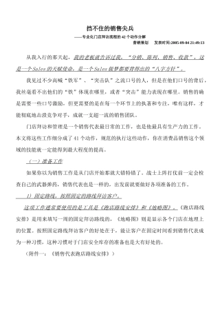挡不住的销售尖兵：专业化门店拜访流程的42个动作分解