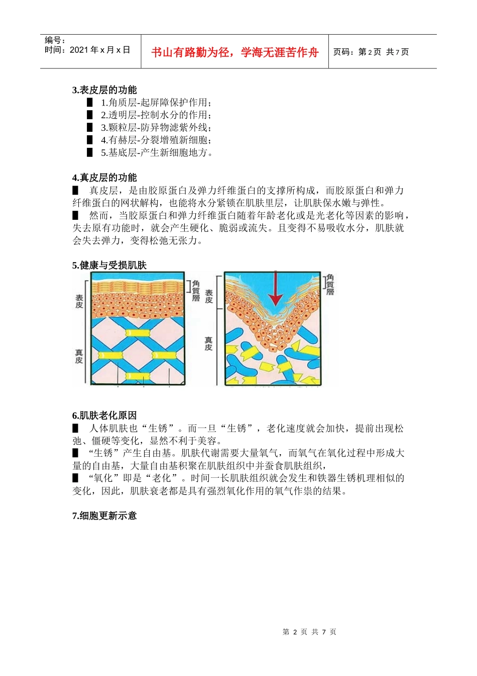 [培训] 维雅骨干特训——基础技能_第2页