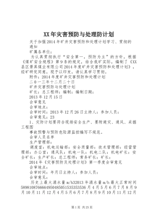 XX年灾害预防与处理防计划