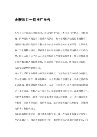 某楼盘项目一期营销推广报告