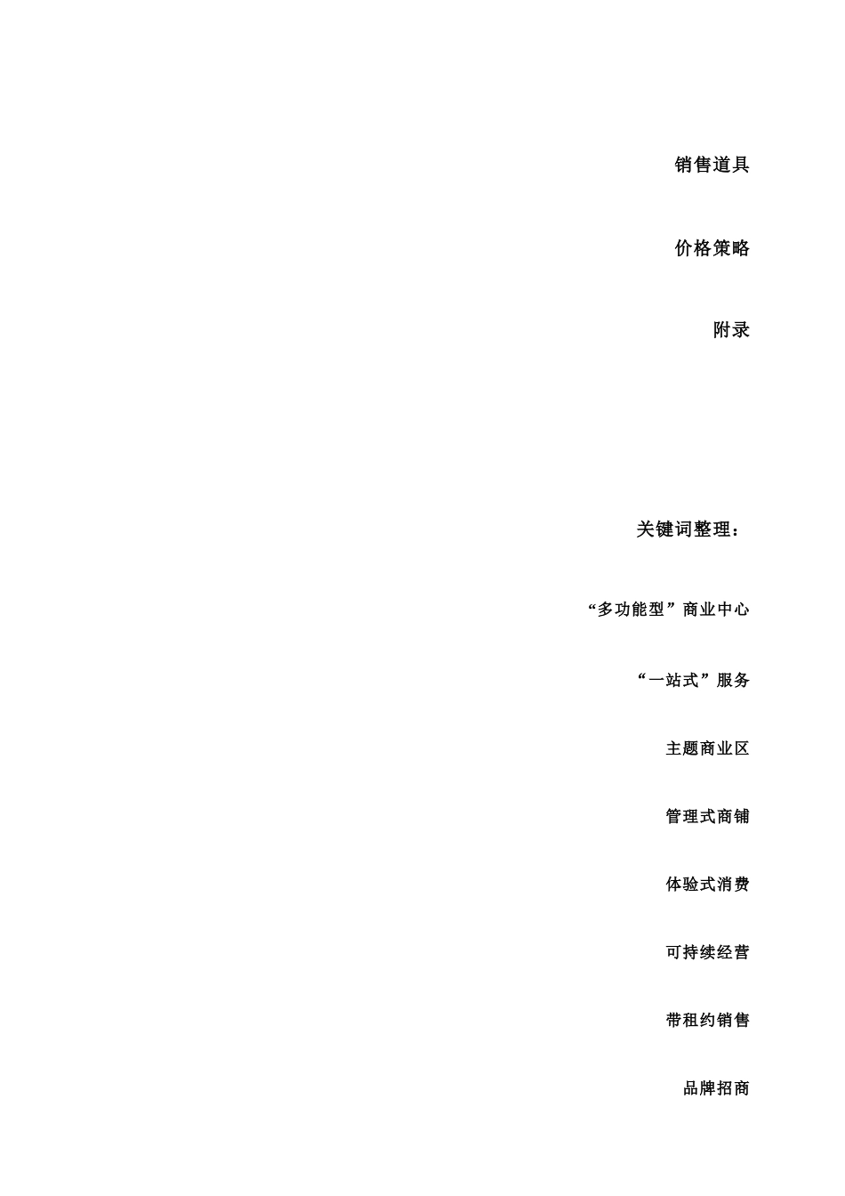 江苏射阳中心商业广场整合营销策划报告_第2页