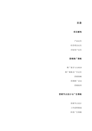 江苏射阳中心商业广场整合营销策划报告