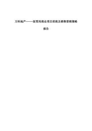 某某地产招商及营销策略报告
