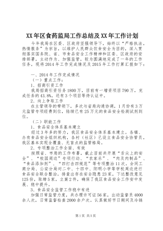 XX年区食药监局工作总结及XX年工作计划