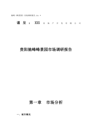 某景园市场调研报告