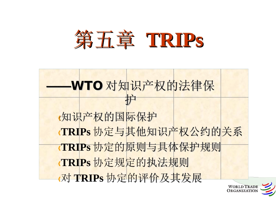 贸易与知识产权_第1页