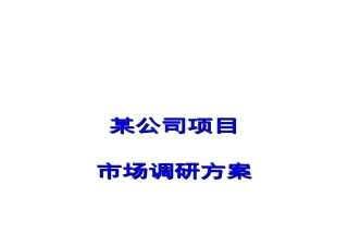 某公司项目市场调研方案探析