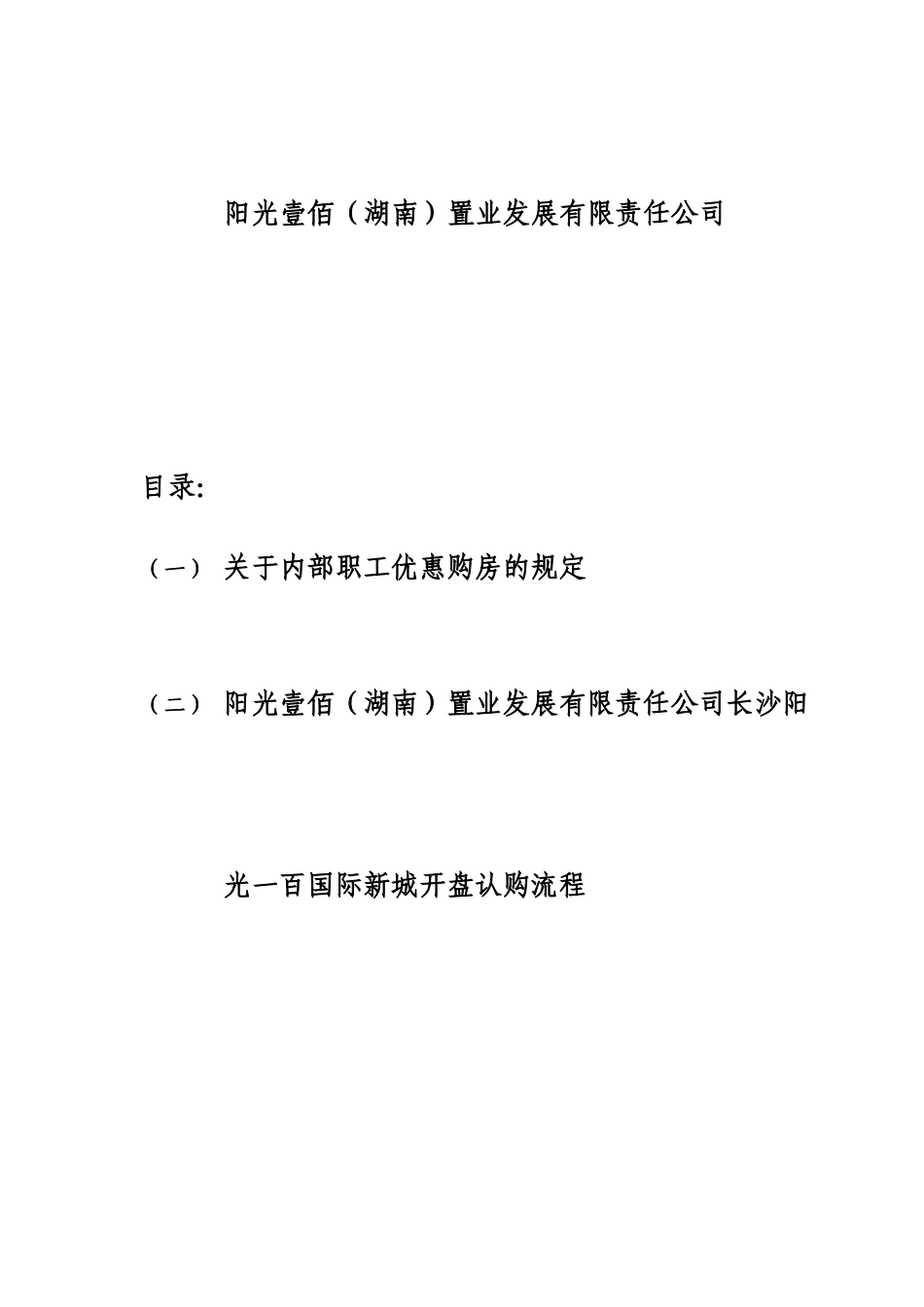 湖南国际新城开盘认购方案_第2页