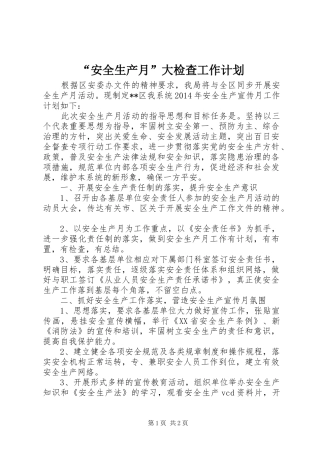“安全生产月”大检查工作计划