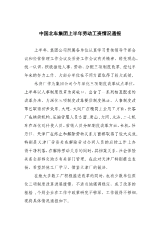 中国北车集团上半年劳动工资情况报告