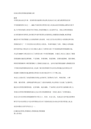 河南自然堂营销渠道策略分析