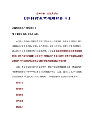 赤峰·金钰大都会·营销建议报告（定）