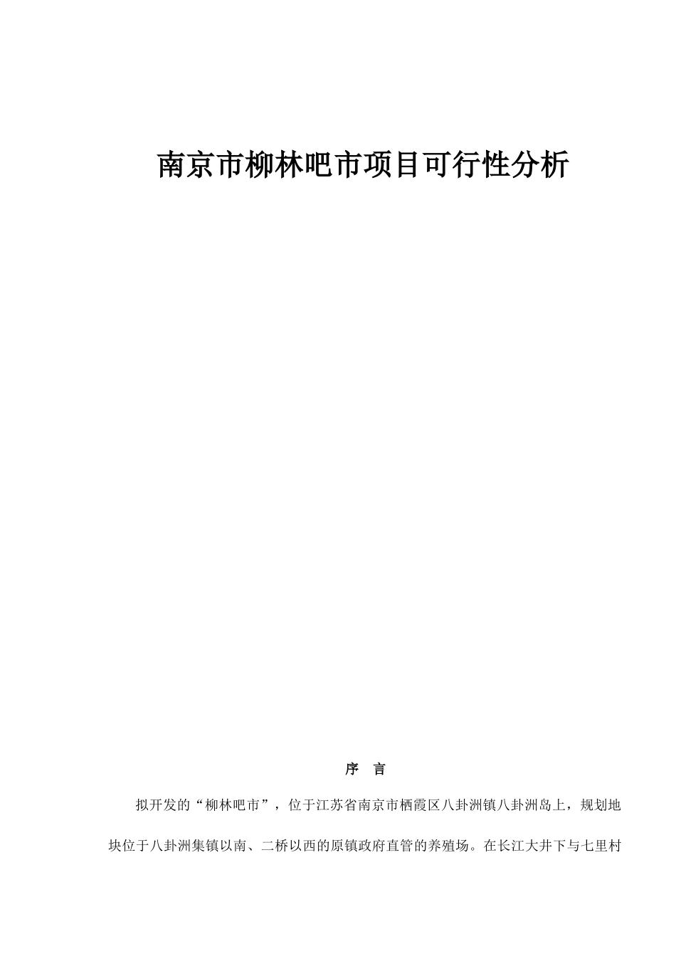 某旅游城市市场项目可行性分析_第1页