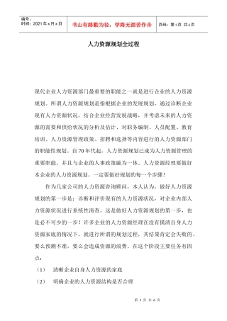 人力资源规划全过程