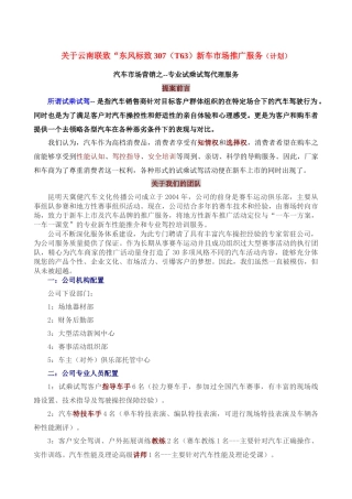 标致推广服务案