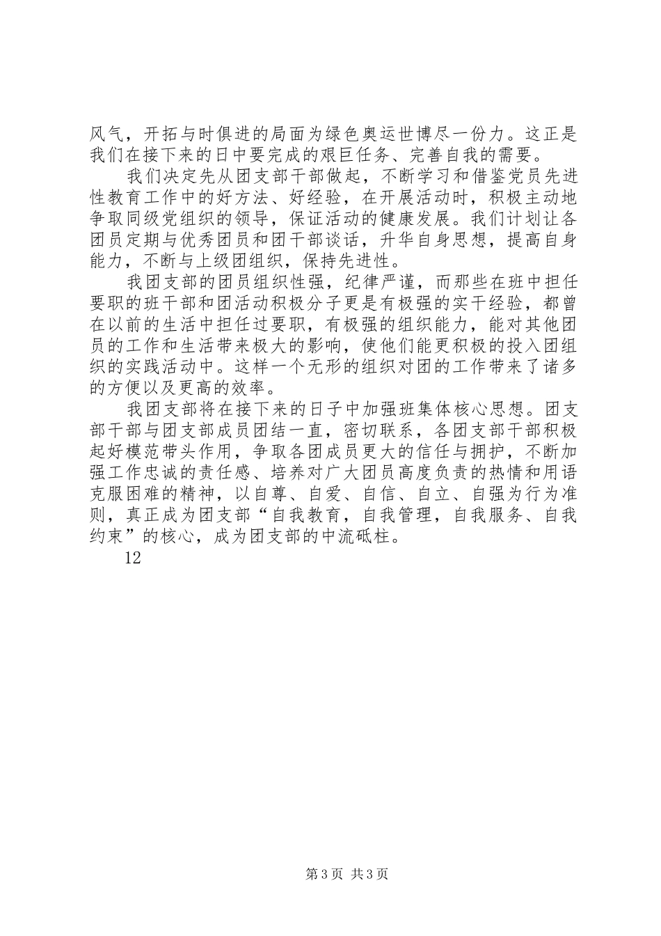 XX年团支部“一团一品”建设计划_第3页