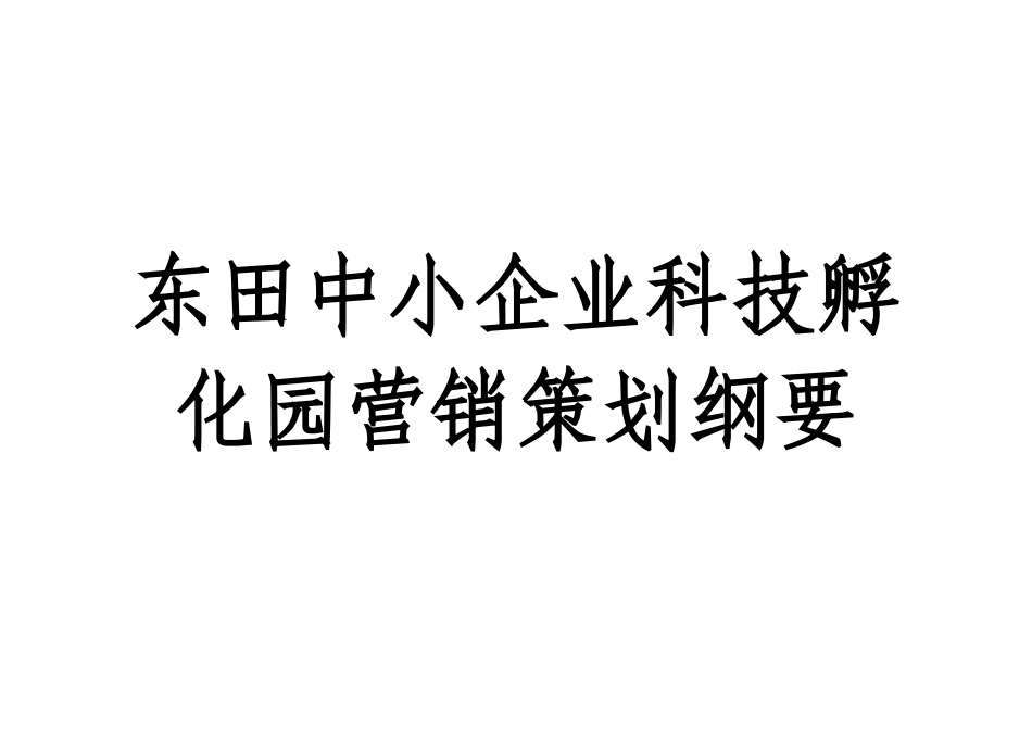 某实业公司营销推广报告_第1页