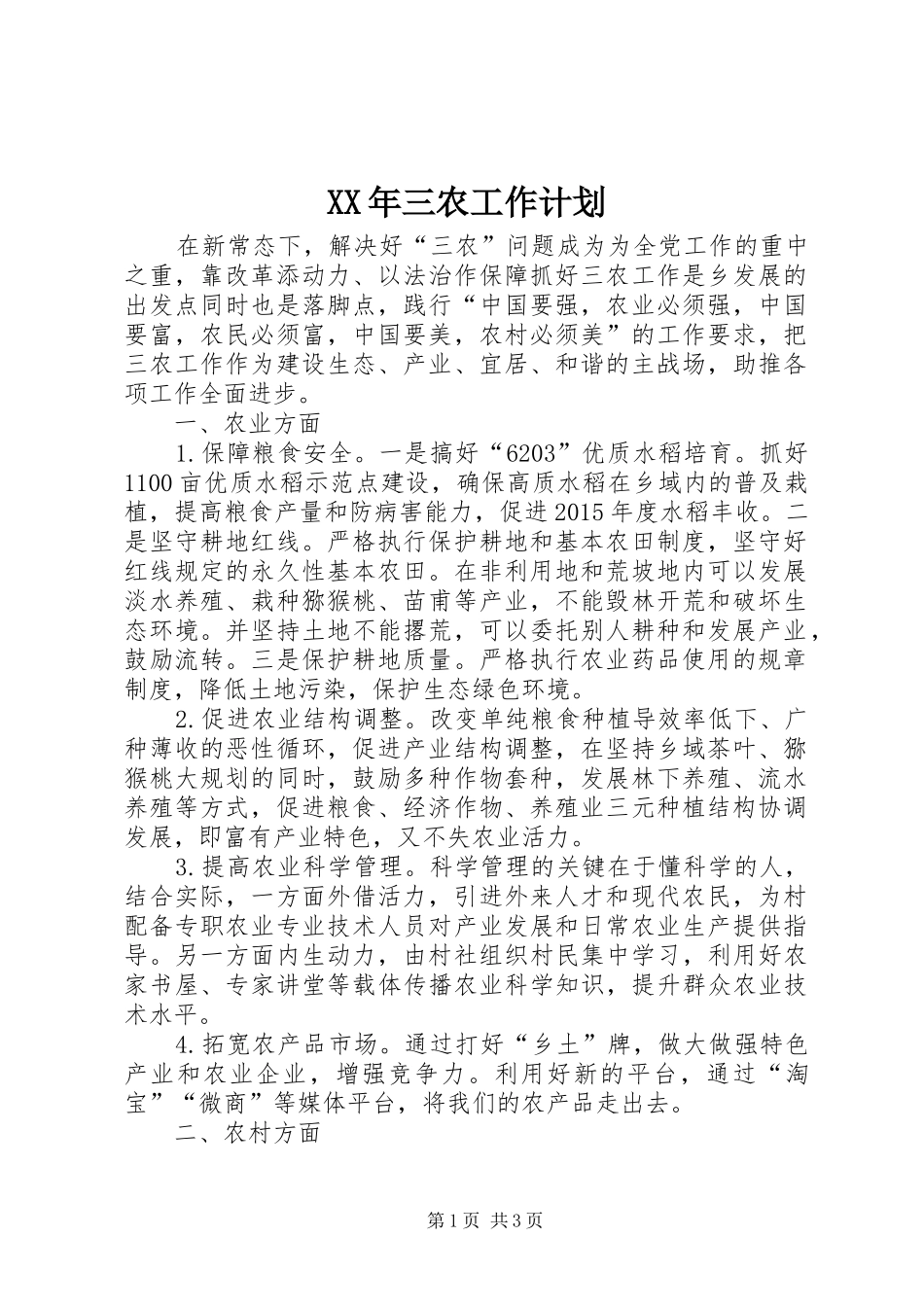 XX年三农工作计划_第1页