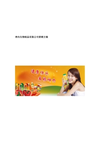 某知名饮料公司饮料市场营销方案