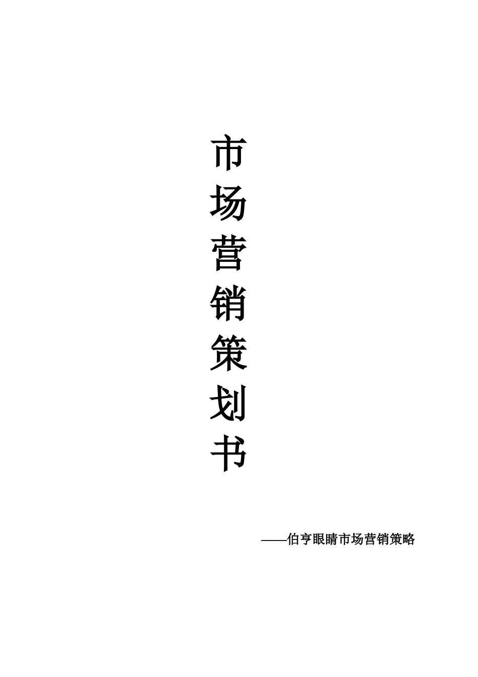 超越极致团队伯亨营销策略_第1页