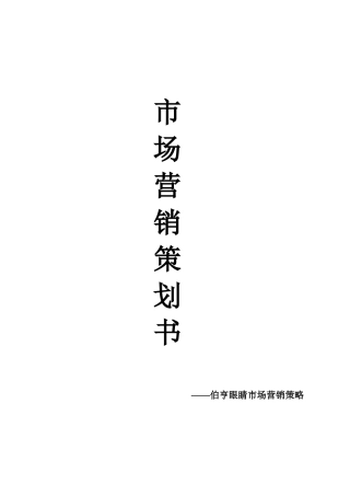 超越极致团队伯亨营销策略